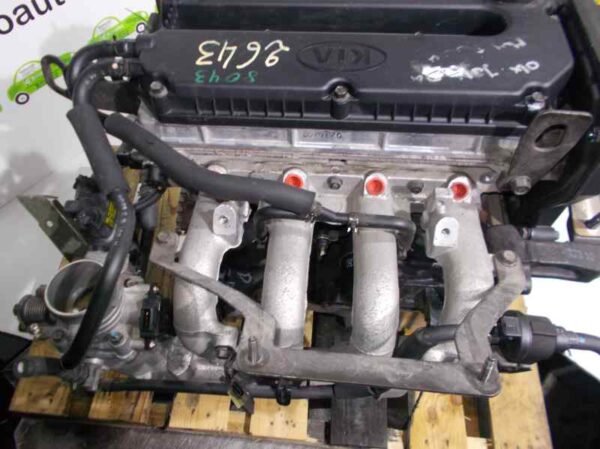 Shuma 1.6 DOHC