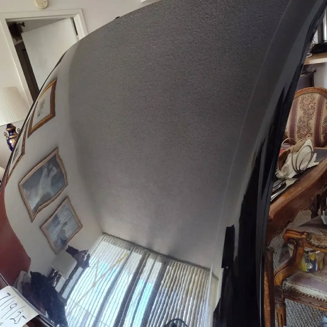 1995 Ford Mustang Cobra OEM Removable Hardtop - Image 4