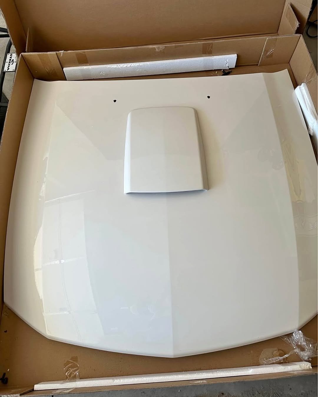 2005-2009 Ford Mustang GT Hood