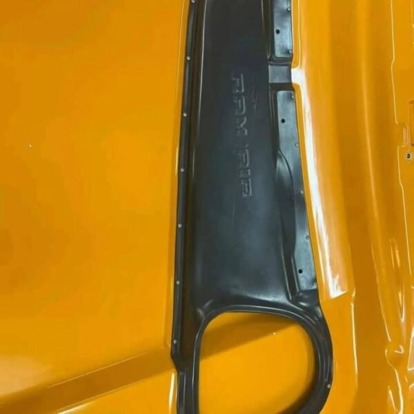 Ford Mustang Cervini Stalker Hood 2018+