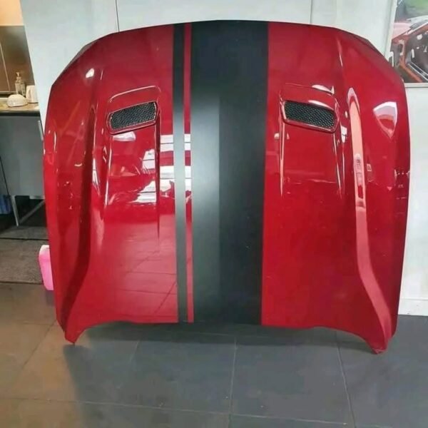 2018 Ford Mustang GT Hood - Ruby Red