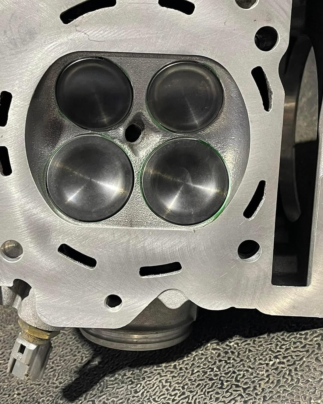 Yamaha Raptor 700 Dual Port Cylinder Head - Ported with +2 Valves - Image 3